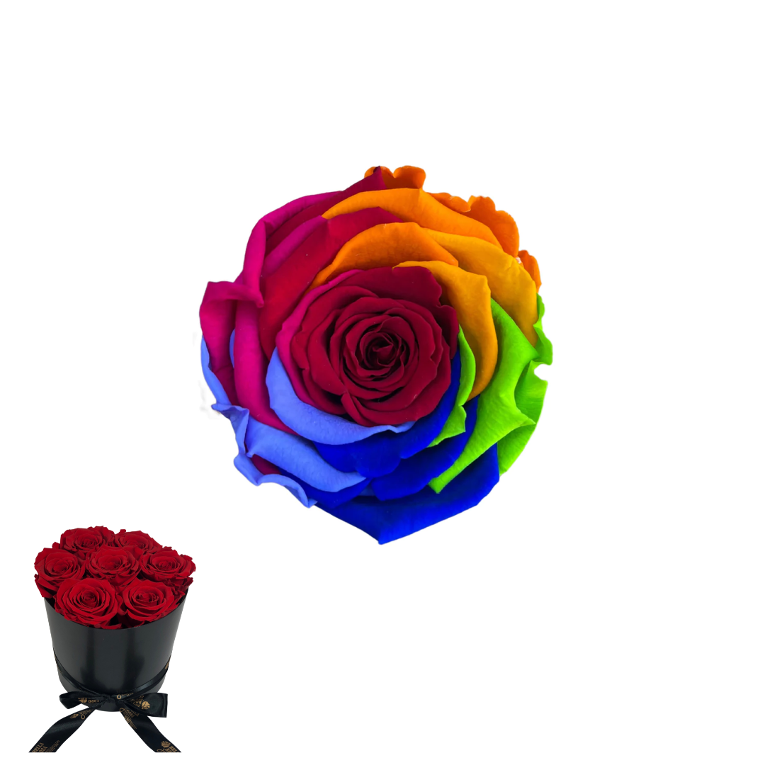 ARREGLO 7 ROSAS ARCOÍRIS