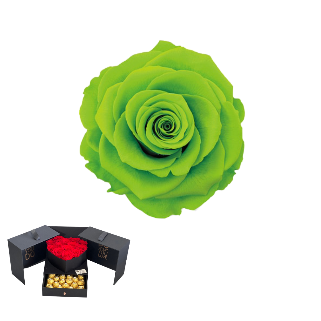 ARREGLO 24 ROSAS VERDE 05