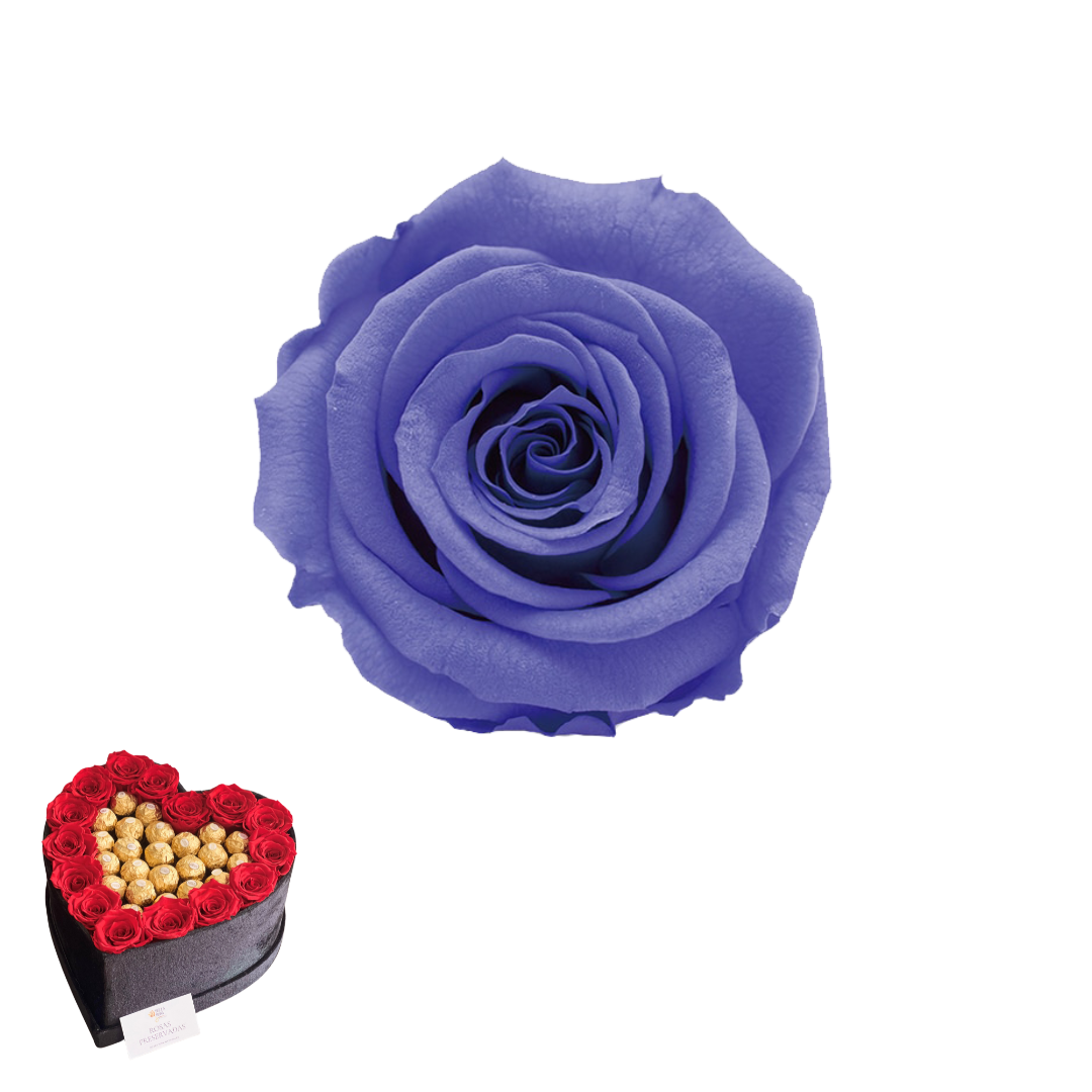 ARREGLO 15 ROSAS VIOLETA 01