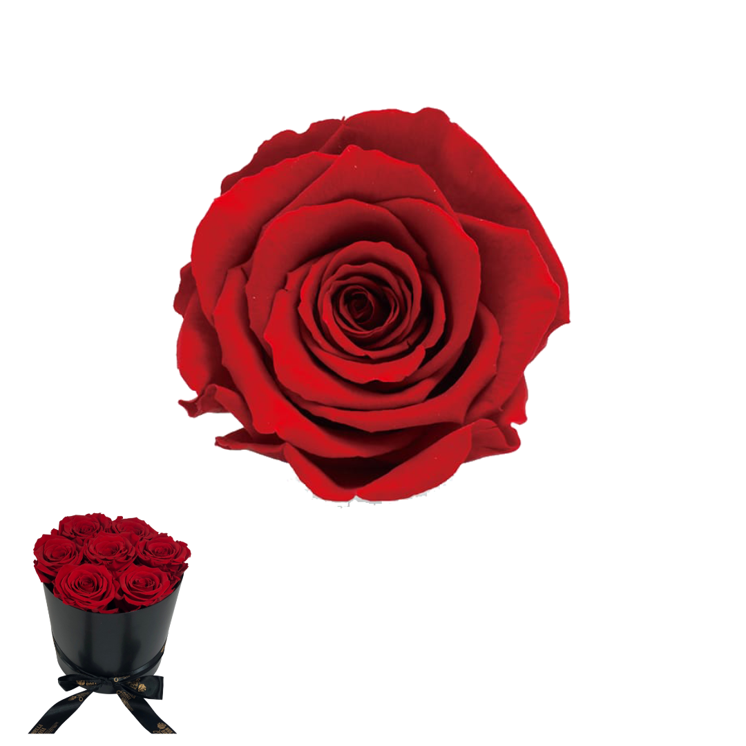 ARREGLO 7 ROSAS ROJO 02