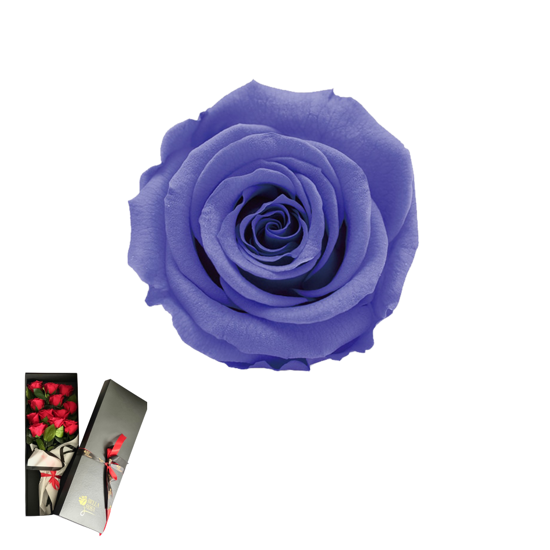 ARREGLO 12 TALLOS VIOLETA 01