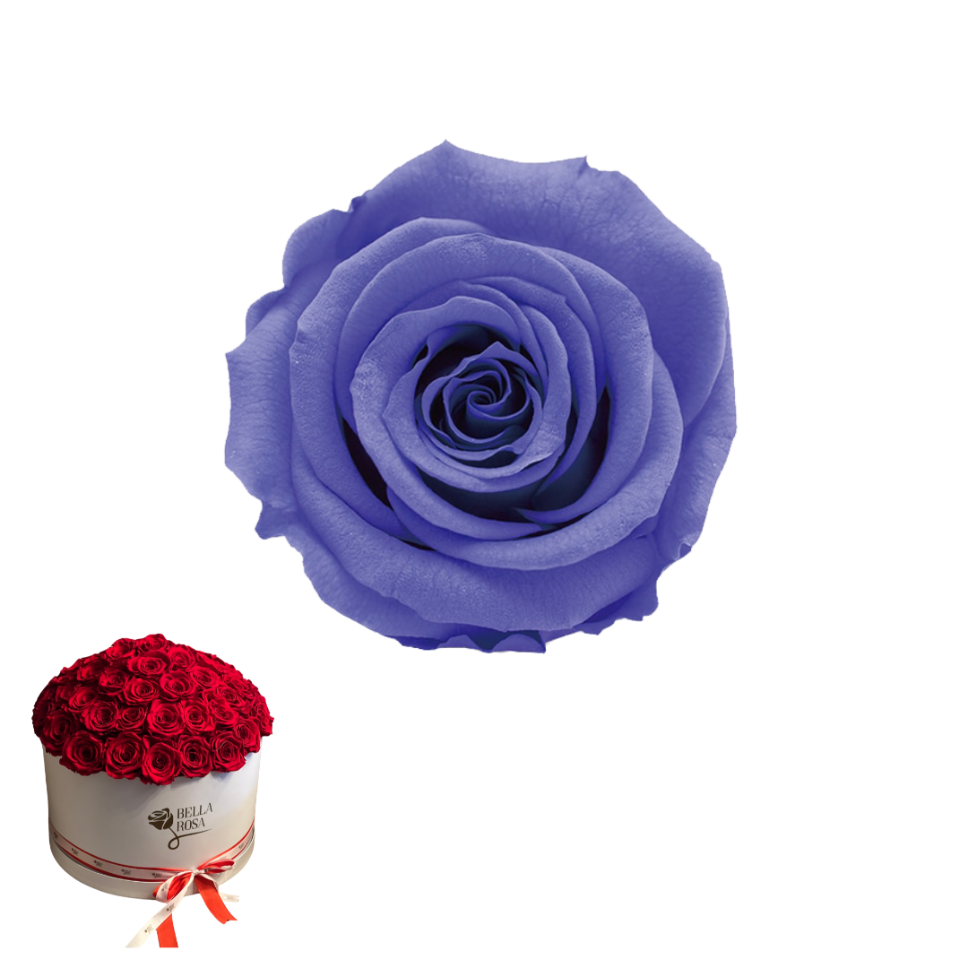 ARREGLO 50 ROSAS VIOLETA 01