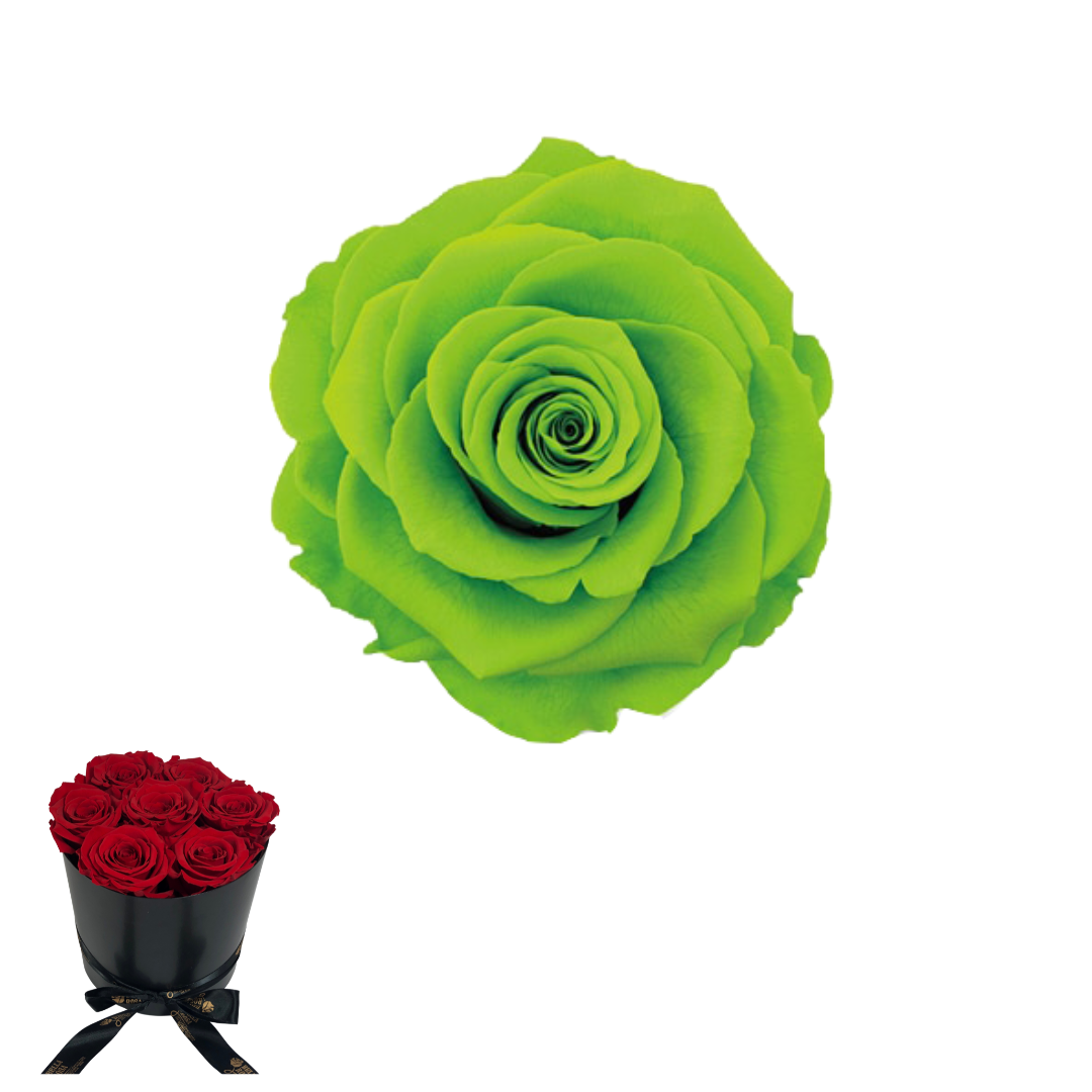 ARREGLO 7 ROSAS VERDE 05