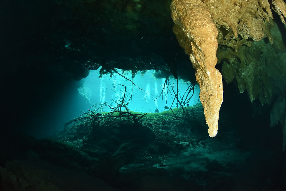 Cenote Car Wash