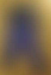 My New EMD 100th Anniversary Socks