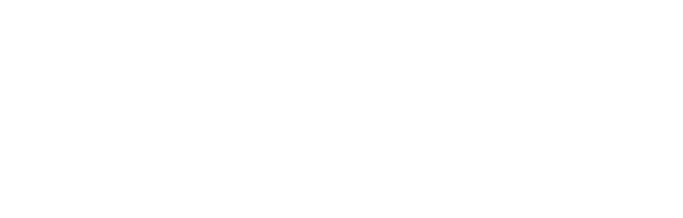 İT - White Logo_4x.png