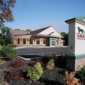 absecon_vet_hospital