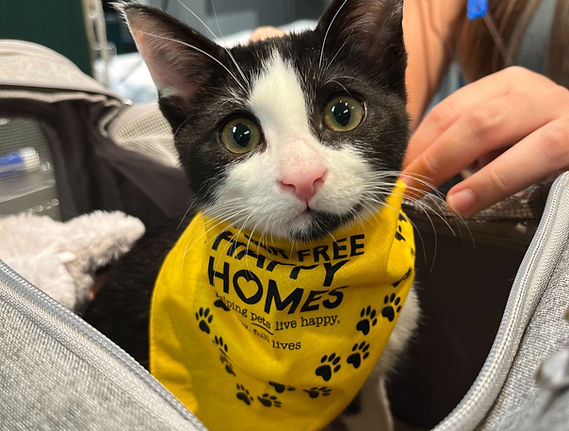 Image from iOS (28).jpg