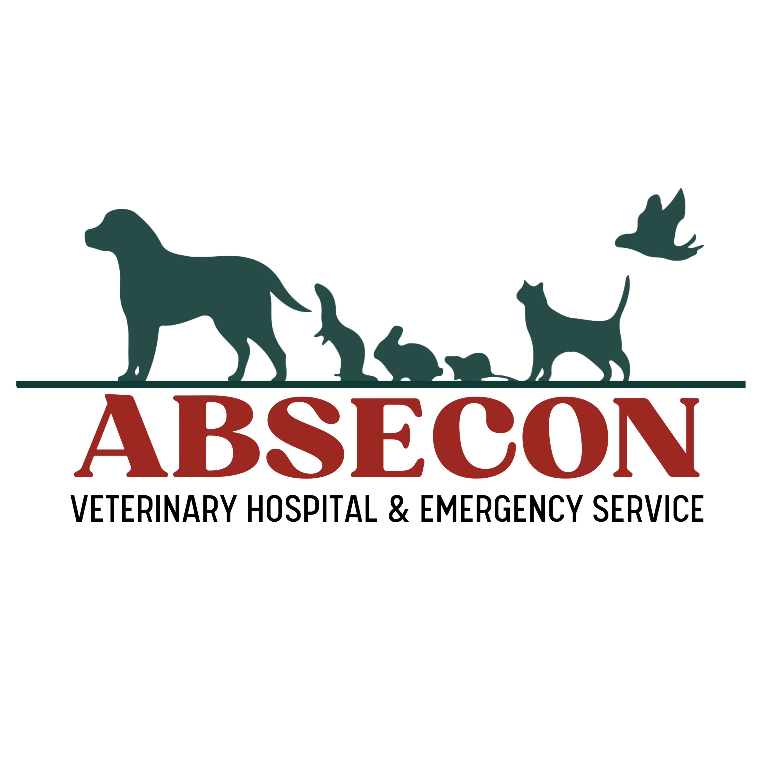 Writer: Absecon Vet Hospital