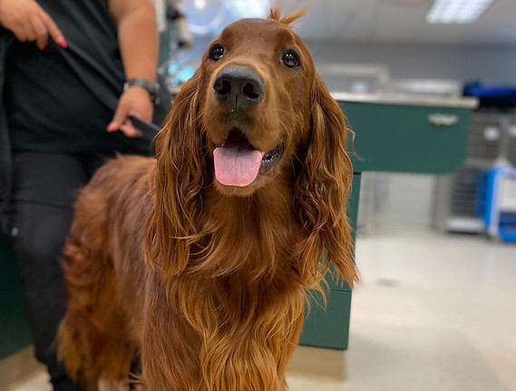 Image from iOS (11).jpg