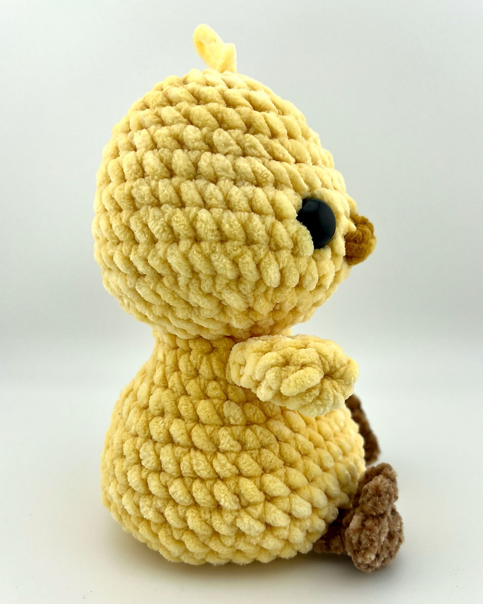 Thumbnail: Bean Bag Bottom Birds