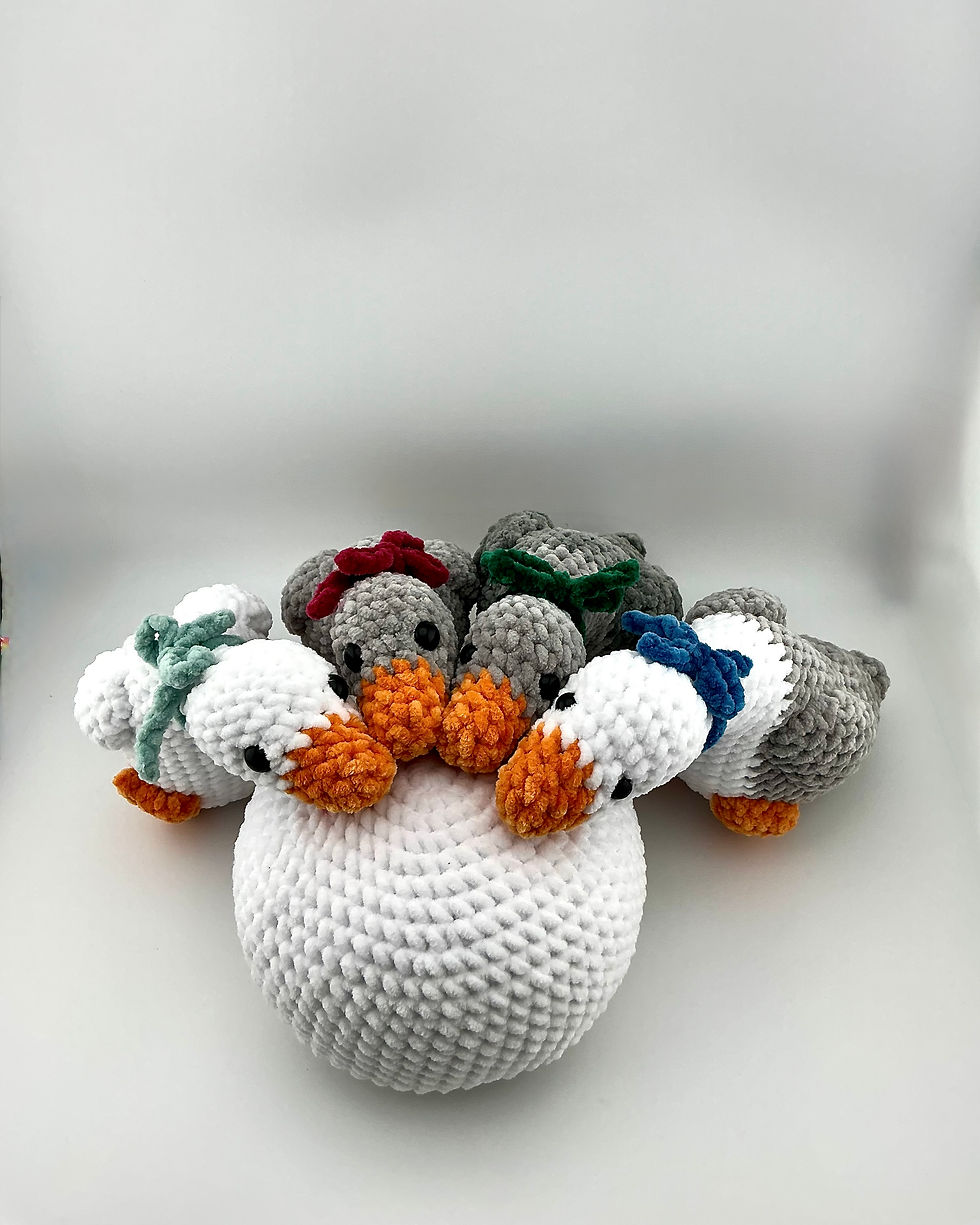 Shelf Goose Top View