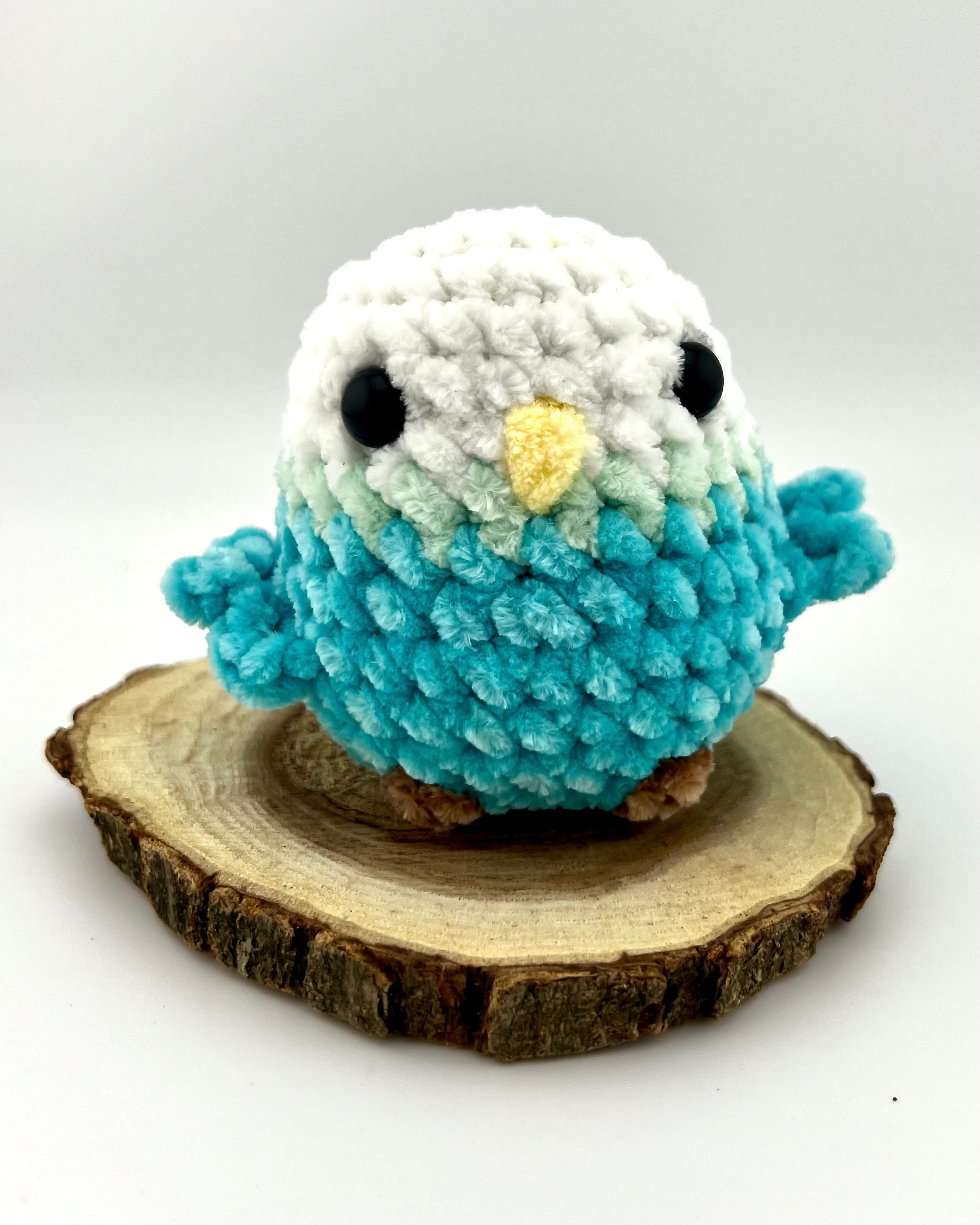 Pudgy Teal Budgie