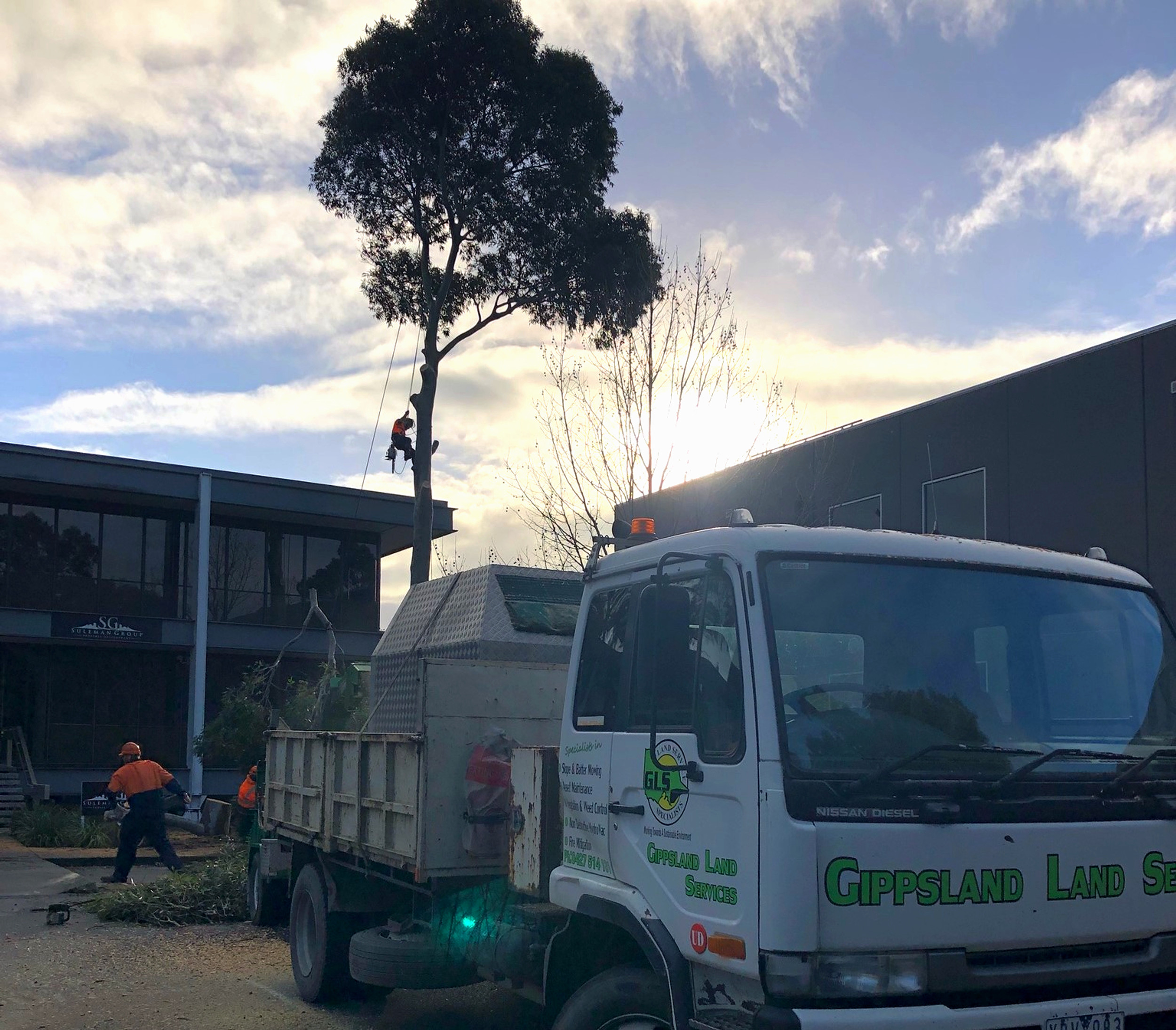 Photo inspiration: Visual Reference: Tree Removal And Pruning Services In The Latrobe Valley And