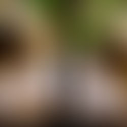 上映▷『露光時間』ダマー国際映画祭