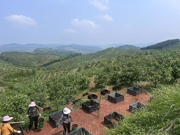 farmers on the hill