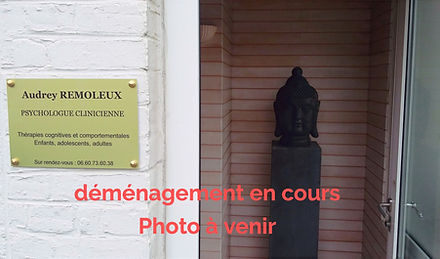 Accueil cabinet AR Psychologue TCC Fline