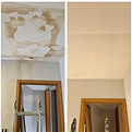 mold_edited_edited.jpg