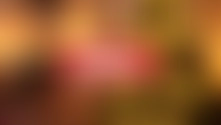 An image showing a Christmas tree, which has text saying 'Festive Updates'