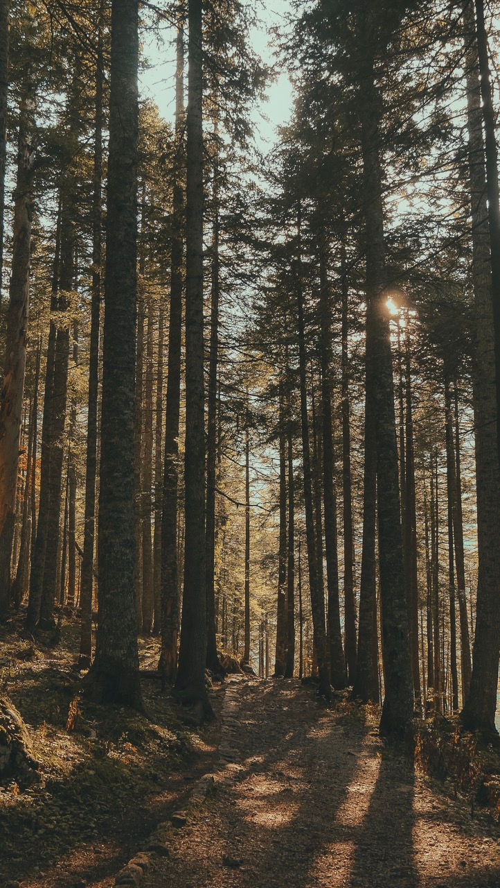Groß (20181009212139).jpeg