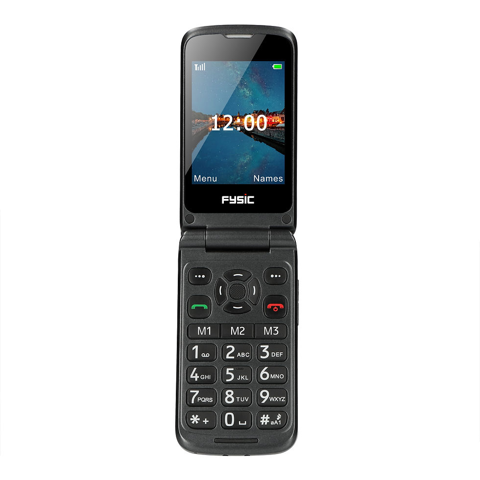 Miniature : FYSIC GSM F15