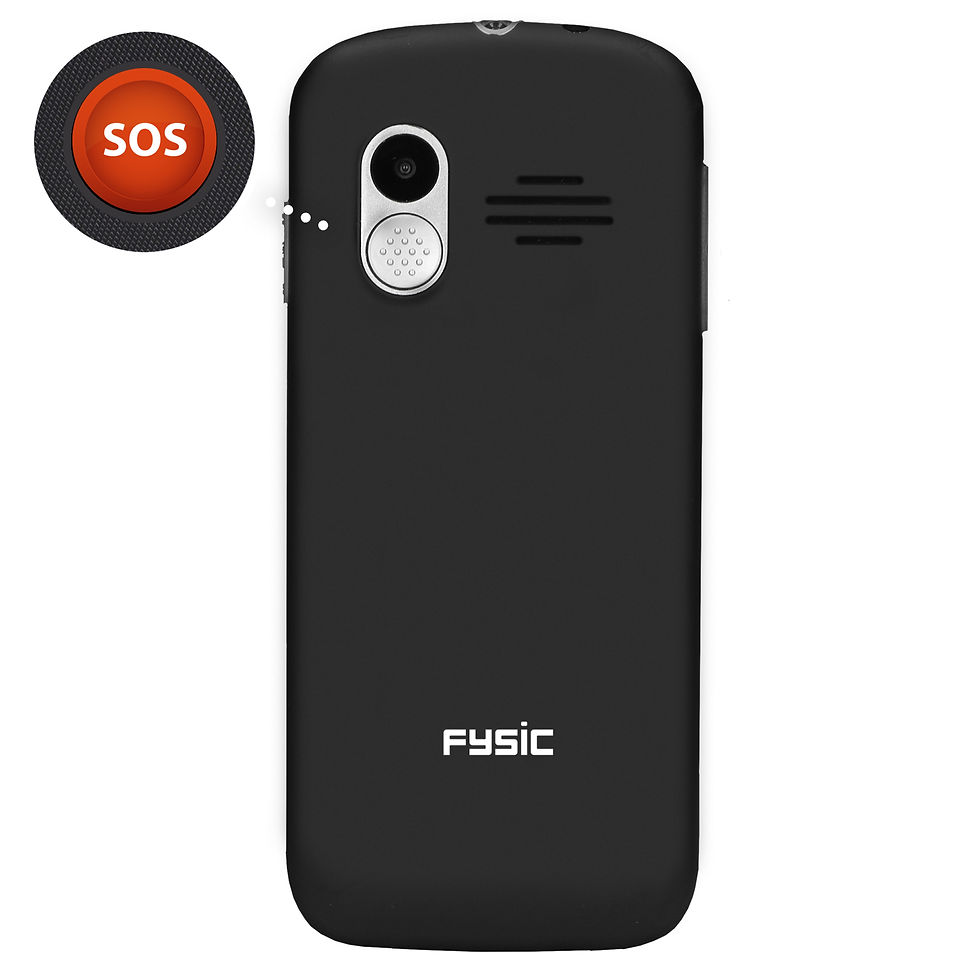 Miniature : FYSIC GSM F10