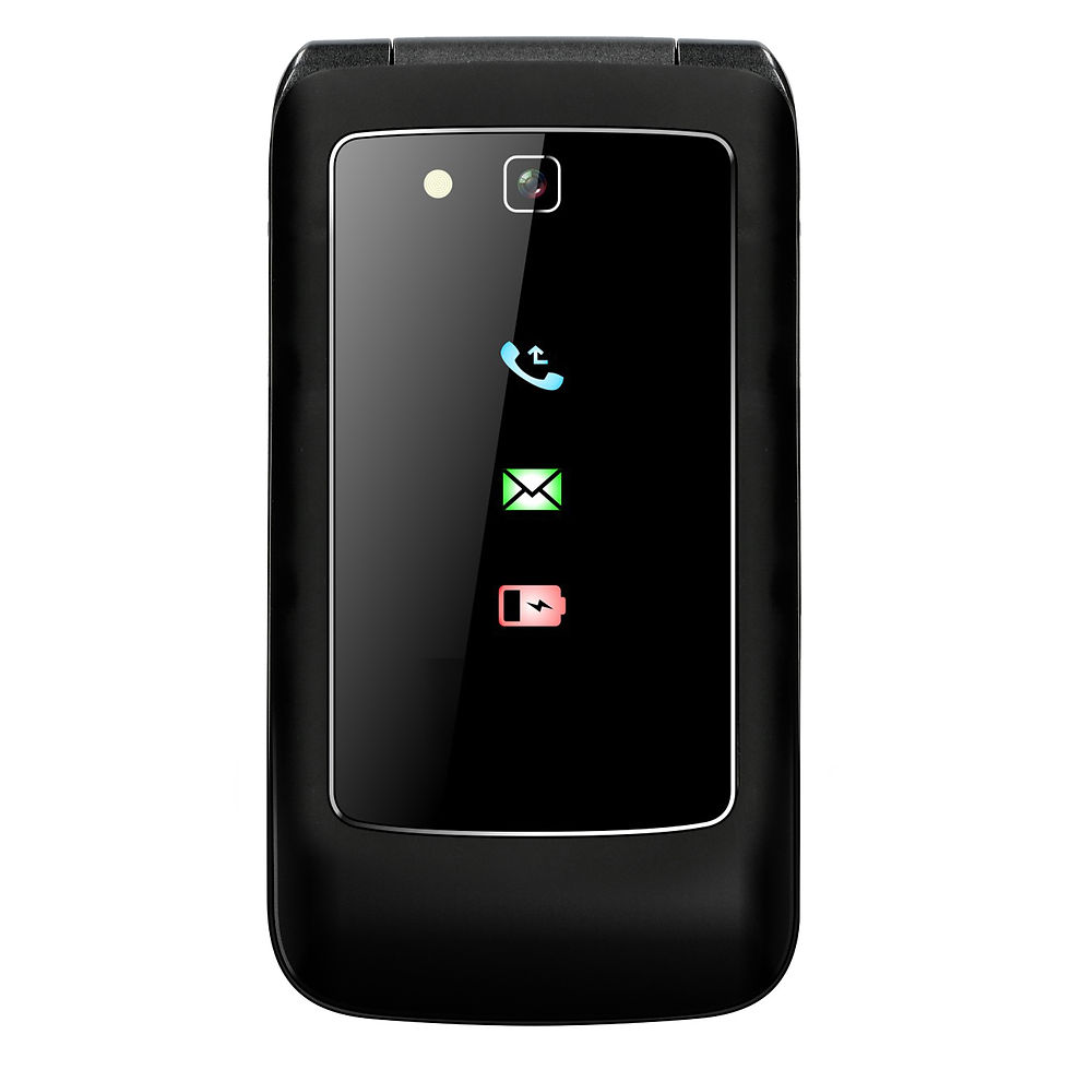 Miniature : FYSIC GSM F15