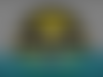 Radioactive Substances and the Great Lakes:Should we be concerned?