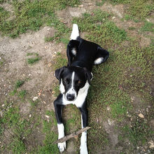 explo #15.1 Aspirations élevées, en liberté