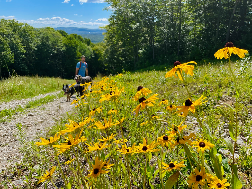 Weekend Escape to Wilmington Vermont