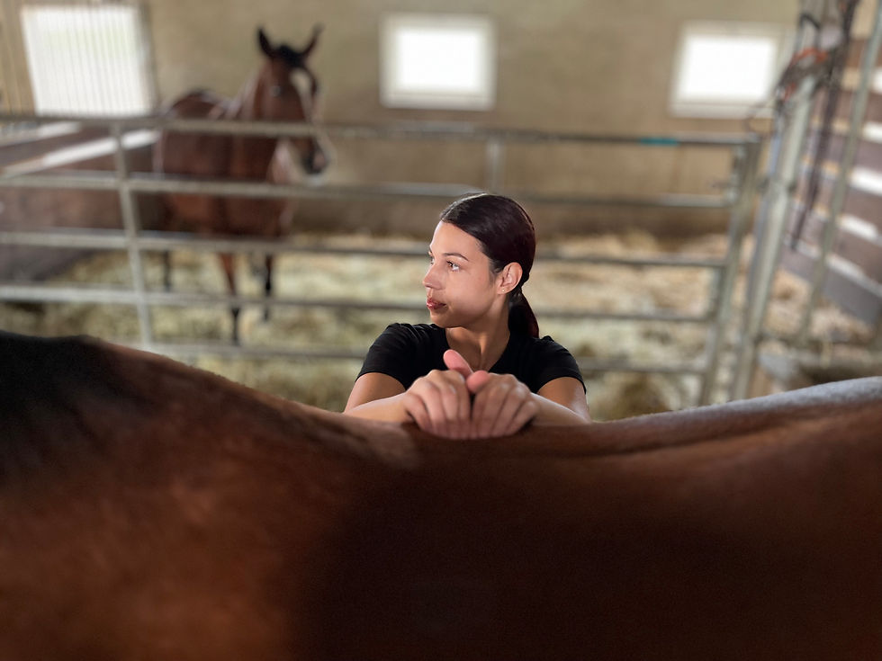 Mobile Tiermasseurin bei Massageeinheit im PferdeStall