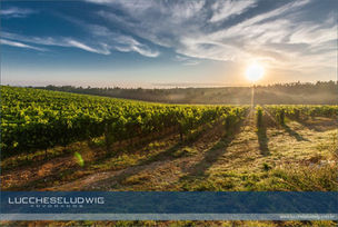 Contribuição previdenciária sobre comercialização de produtos agrícolas pelo empregador rural Pessoa