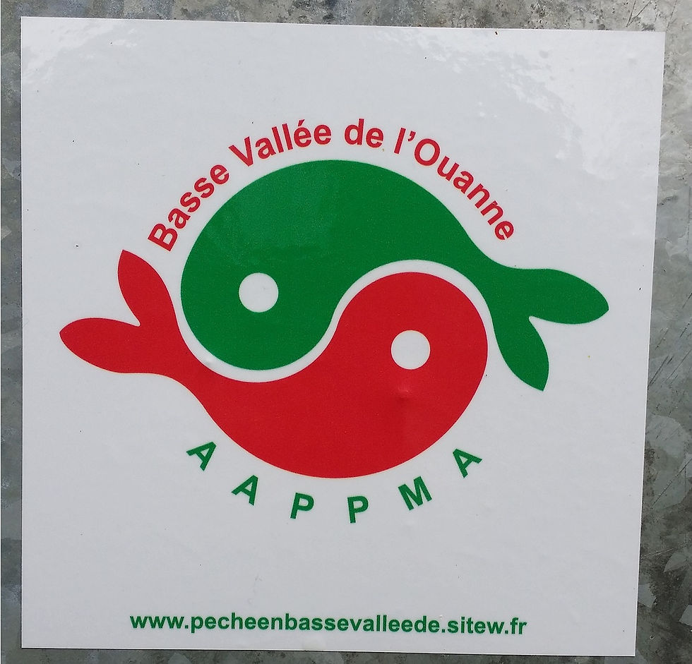 Ouanne