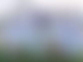 11月2日（日） 2025年 第14回大阪シニアサッカーリーグ【O-40】 第2節 試合結果