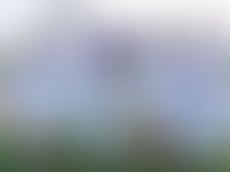 11月2日（日） 2025年 第14回大阪シニアサッカーリーグ【O-40】 第2節 試合結果