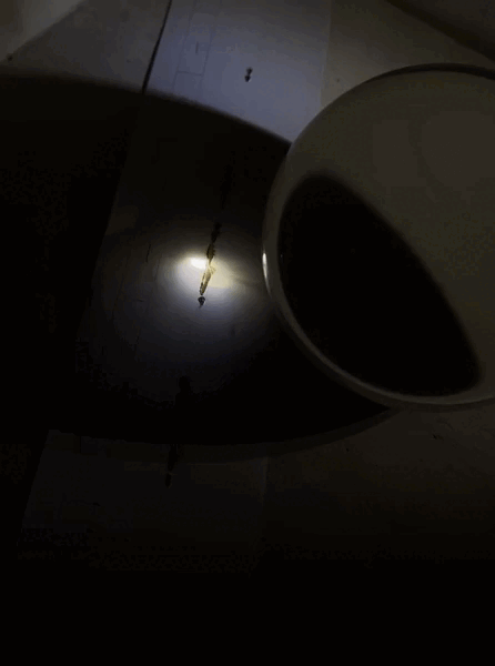 IMG-8095 (1).gif