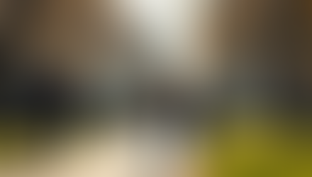 Revealing Body Positivity Statistics and Their Importance