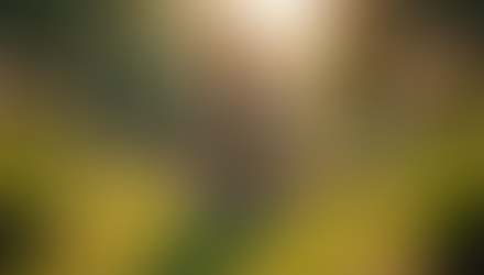 Empowering Women's Mental Health: Insights and Solutions