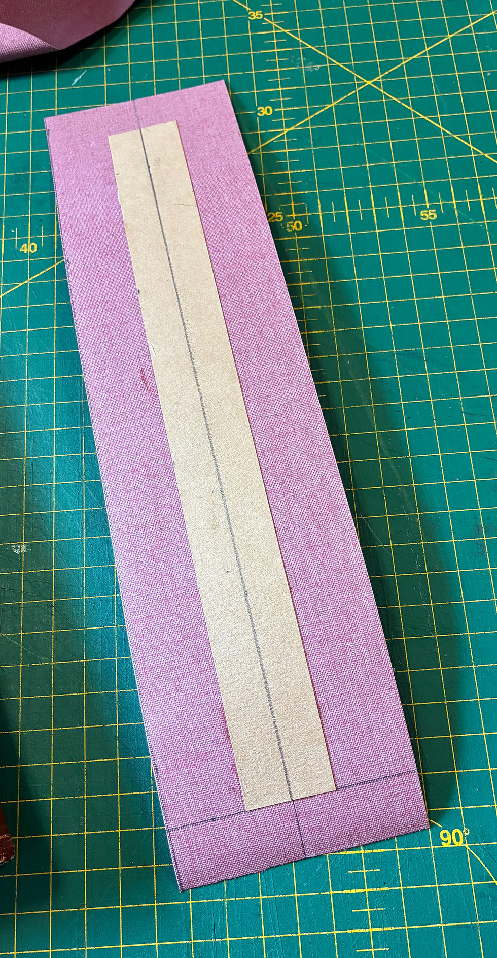 new spine ready