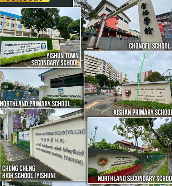 photo_2024-05-13 20.58.57.jpeg