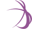 loading-purple.gif