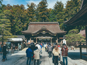 掛川・磐田・袋井|エリア別おすすめ神社7選【浜松神社婚ナビ】