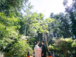 【小國神社】伝統と誓いを神聖な場所で【掛川グランドホテル】