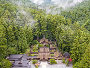 【小國神社挙式】1400年以上受け継がれる縁結びの名社で叶える結婚式【掛川グランドホテル】