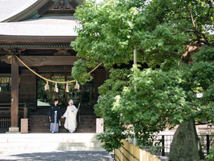 【新春こそ神前式】初詣でも人気の神社をご紹介