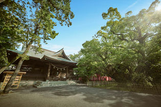 浜松市|エリア別おすすめ神社7選【浜松神社婚ナビ】