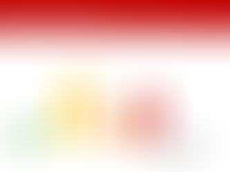 Pragmaticus-Umfrage: Der Staat und seine Aufgaben