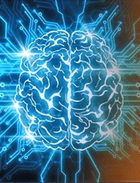 Brain2_edited.jpg