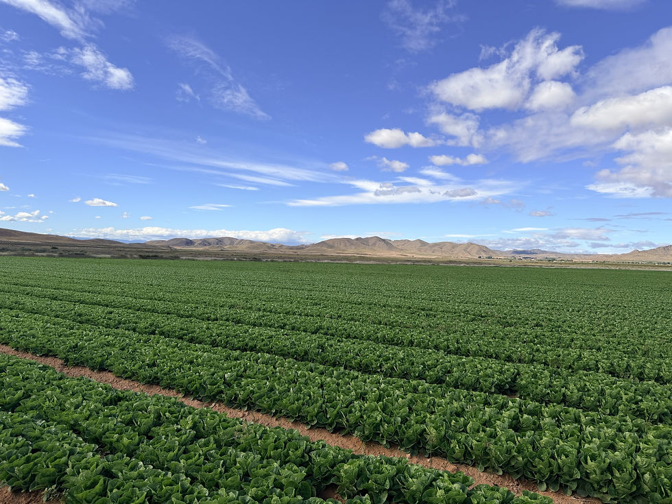 3ed9e88c-2887-428e-87c8-40711698773c.jfif