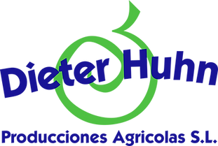 DH Producciones Logo.png